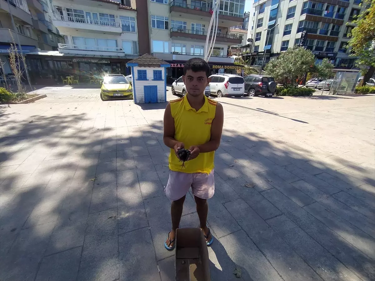 Düzce’de Maarif Modeli Broşür Dağıtımı